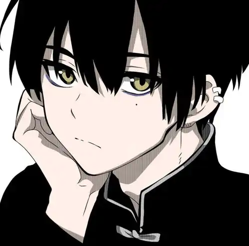 echo小众动漫男头
