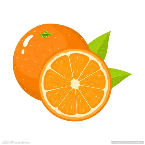 卡通橙子设计图
