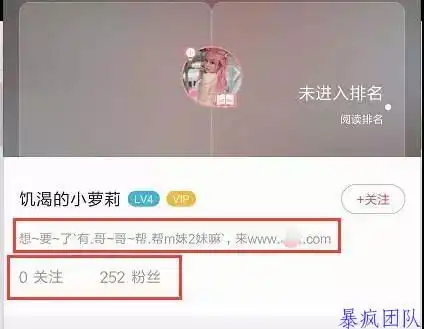 如何利用阅读app吸粉操作会员项目赚钱
