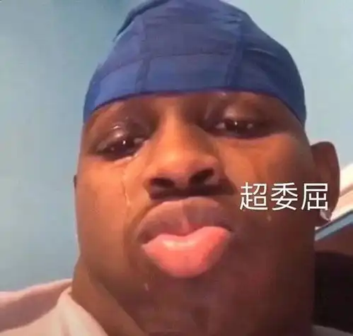 热门搞笑表情包图片超委屈
