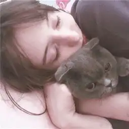 抱着猫咪的女生头像可爱清新大概想要的是喜欢被占有
