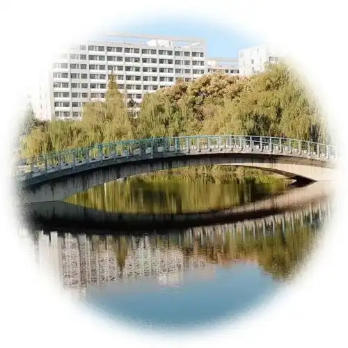 河海专属情侣头像,快来喊ta一起换上吧
