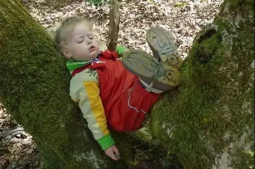 自然教育越简单,越奢华
