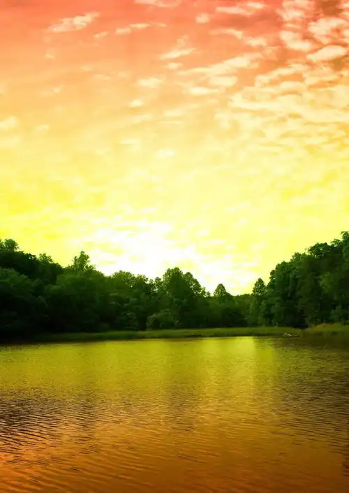 在海南落户要求购房政策
