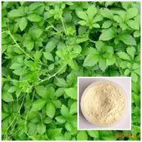 绞股蓝保健品价格型号图片
