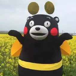 头像方块图熊本熊
