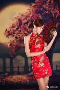 风情万种旗袍秀

