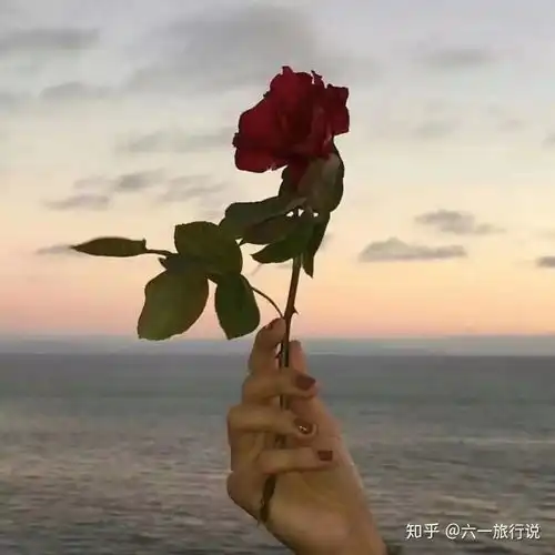 远方很远,步履不停,要去的地方多晚都有光

