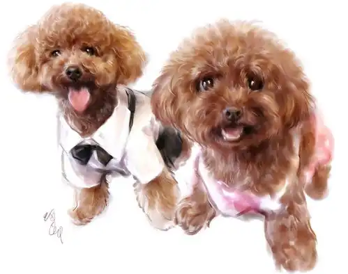 淘宝店速写爱宠狗狗画狗猫狗汪星人喵星人猫咪可爱宠物萌萌宠宠物画像铲屎官猫粮狗粮哈士奇拉布拉多金毛泰迪柯基雪纳瑞边牧秋田柴犬博美吸猫布偶猫阿拉斯加画狗,宠物画像,狗狗画像,狗狗手绘
