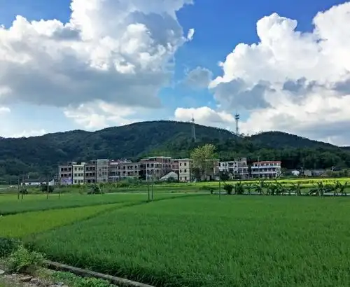 看看有没有你的家乡增城13个村获市级美丽乡村称号
