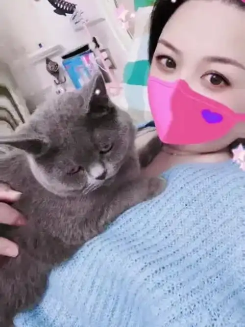 看到你,一切烦恼都烟消云散了,我真的好爱你治愈猫咪喂猫日记家有宠物很幸福
