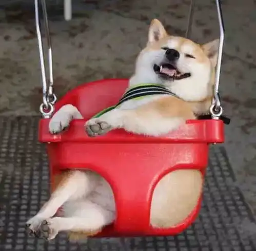 头像壁纸可不可以,和你在一起
