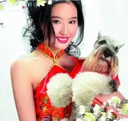 赵丽颖刘亦菲刘诗诗,这些女神浓妆简直丑哭了
