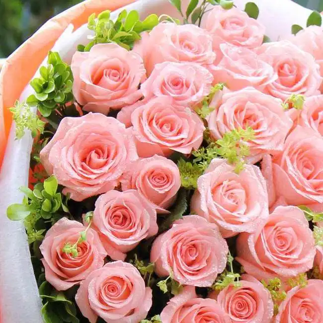 10月底用情最深的4大星座,终于等来桃花运,收获最美的爱情
