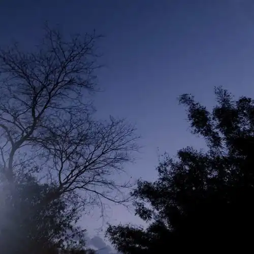 今日份蓝色治愈系朋友圈背景图
