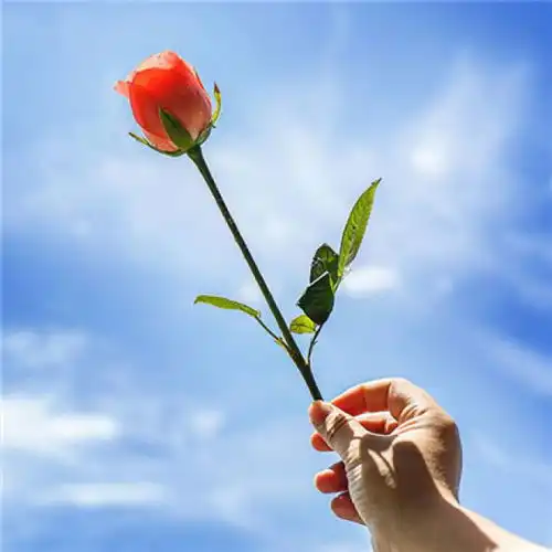 25岁后,哪一刻让你恐惧长大
