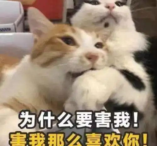 11种单身等级自测表,我是第二级,你是第几级
