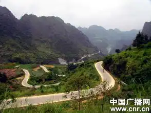 中国广播网
