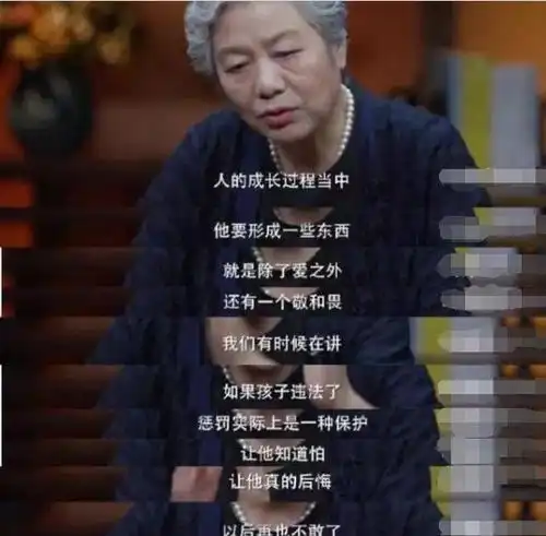 李玫瑾家里有男孩,要坚持4个原则,否则孩子将来难有所成
