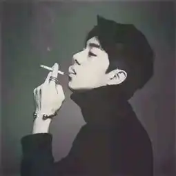 专栏文章网易云音乐
