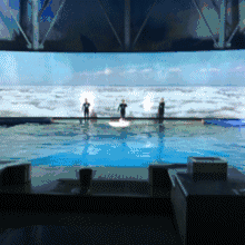 7.218.5鲸奇视界,鱼你同眠,海底奇妙夜夜宿
