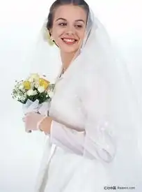 婚礼新娘新郎婚礼新娘新郎图片素材
