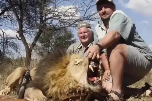 美女去非洲养狮子,2个月后美梦变终身噩梦比狮虎更凶猛的是人心
