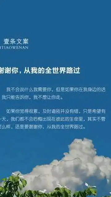 谢谢你,从我的全世界路过小众文案今日文案
