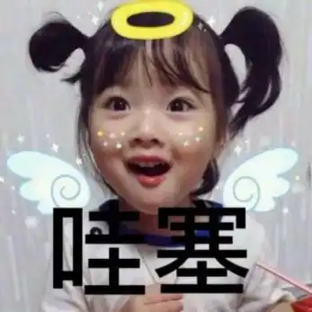 测评网红奥斯卡试睡成都首家轻奢宠物度假酒店,真人管家式全新体验
