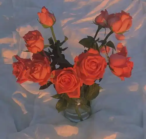 这才是,真正有教养的人
