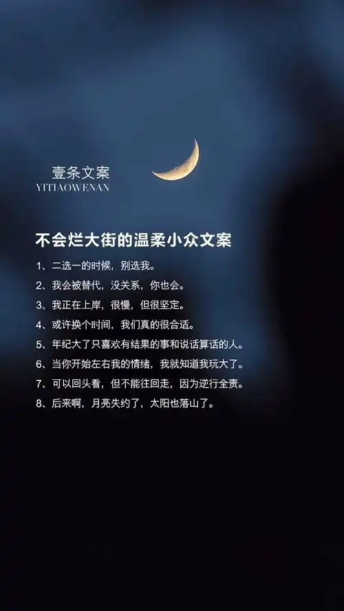 后来啊月亮失约了太阳也落山了小众文案
