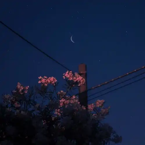 如何更文艺地表达想念
