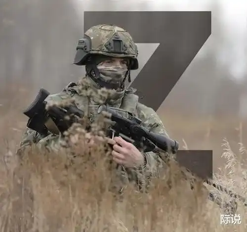 俄罗斯总统关于联合的西方
