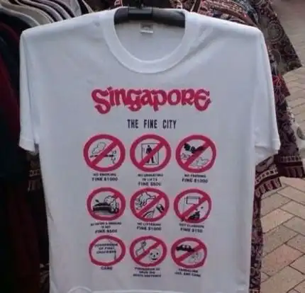 在新加坡捡到iphone没上交,一男子惨被罚1000新币
