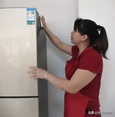 50岁保姆自述做住家保姆可以,但要同意我几个提议,方可做
