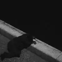 愉先生的深夜电台
