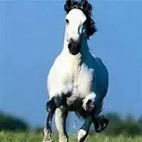 吉利富贵平安微信头像风景微信头像图片大全
