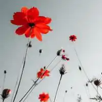 意境蓝天美女头像微信头像图片大全
