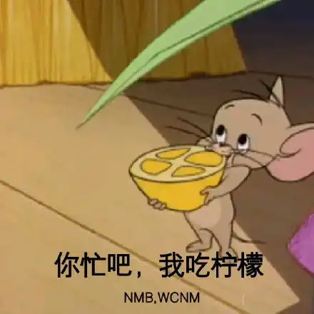 让我看看是哪个秃头女孩还不睡觉猫咪猫咪秃头女孩睡觉哪个表情
