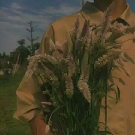 森系唯美男头像半身部位,手捧花的男生
