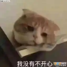 爱情是不靠谱的东西图片安静的当个舔狗其他的雨窝无瓜表情包下载乐游网游戏下载
