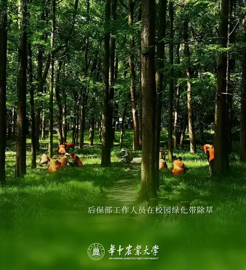 最美是劳动致敬华中农大每一位劳动者
