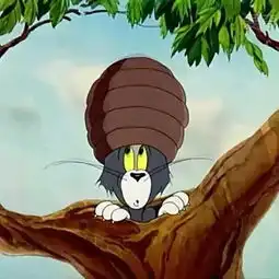 猫和老鼠汤姆四川人的假老练头像
