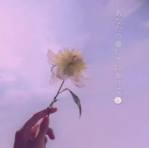 背景图丨孤独无罪单身万岁
