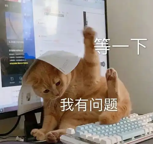 代理ip
