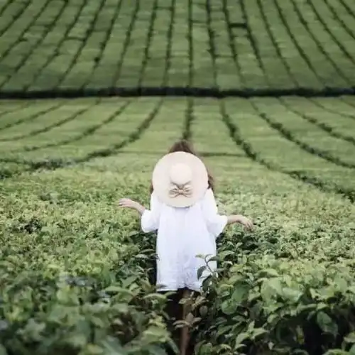 不喜欢负面情绪看看负面情绪的真正价值
