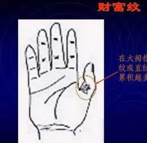 手相有财库代表什么意思
