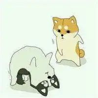情侣头像狗狗一左一右微信头像图片大全
