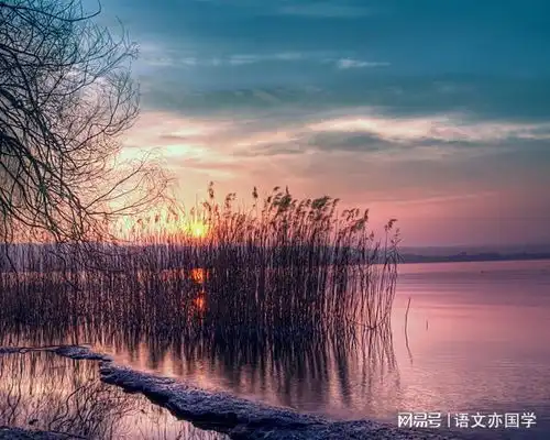 高考容易考的冷成语108个
