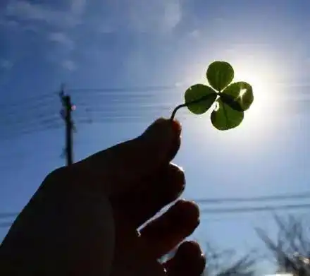 9句很现实的个性签名你若不伤,岁月无恙
